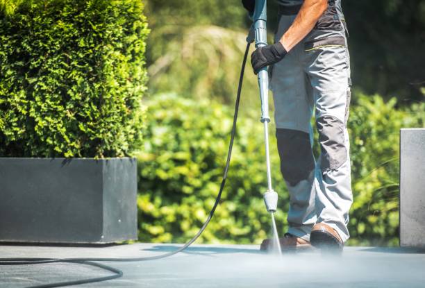 Best Roof Cleaning and Mildew Removal in Freeport, NY