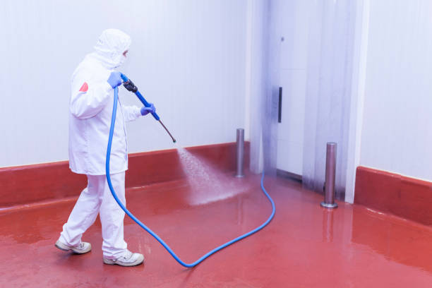 Best Building Exterior Pressure Washing in Freeport, NY